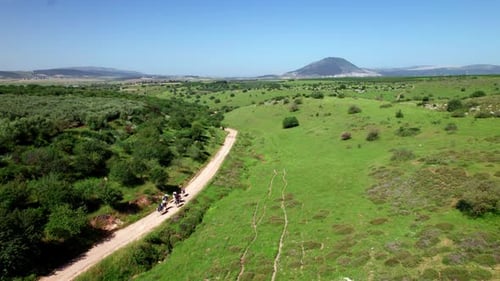 horse riding in the nature 4