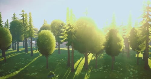 Sunlight Filtering Through Trees in a Tranquil Forest During Early Morning