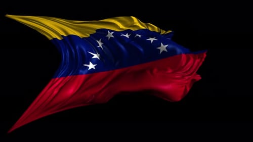 Waving Venezuela Flag Realistic 3D Animation