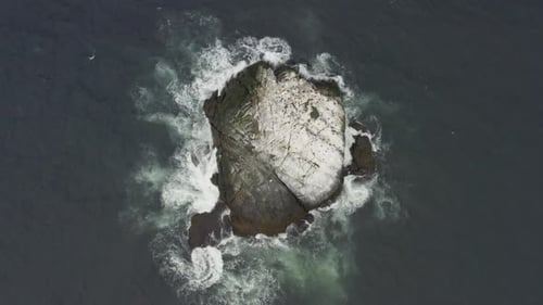 Aerial View of Rocky Island with Seabirds