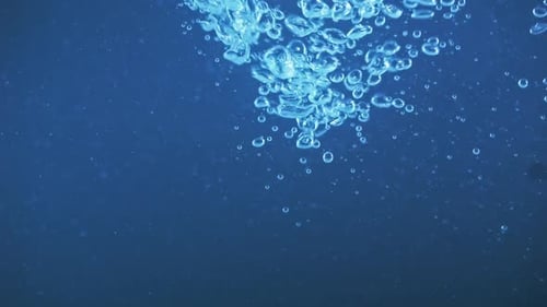 Bubbles Rising in Clear Blue Water