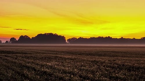 A golden sunset with low-lying fog over the farmland fields - time lapse
