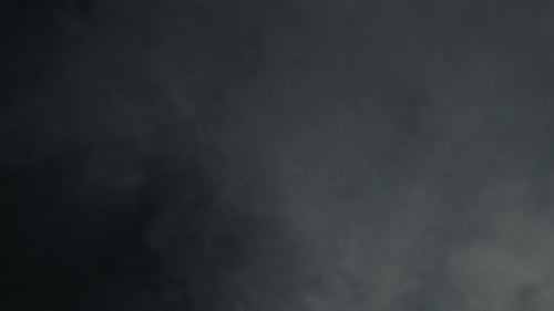 Elegant Smoke Fog Logo Reveal Animation