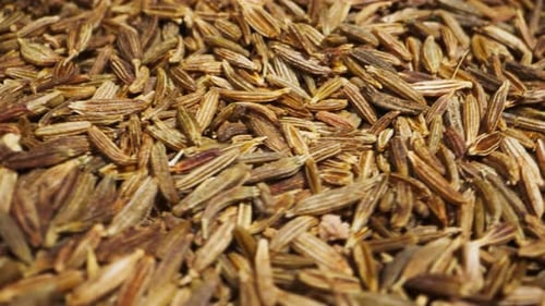Cumin or Jeera Seeds Rotating Closeup Seasoning Cumin or Jeera Spice for Food