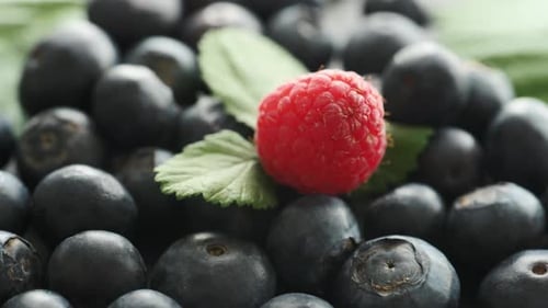 Fresh Raspberry on Blueberries in a Delicious Macro Shot
