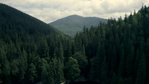 Carpathian Mountains with Synevir Lake