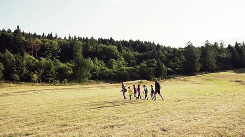 School Trip in Nature Slow Motion