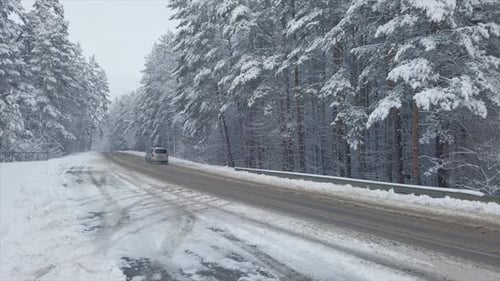 Auto on a Road in Beautiful Winter Forest