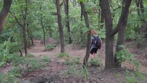 Male Tourist hiker walks down the mountain road trail path in the forest of South Korea in summer s