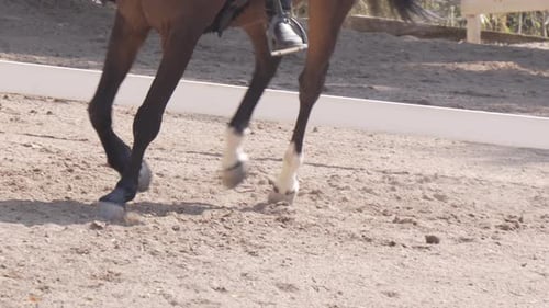 Closeup of legs of brown horse trotting on sand at riding competition.