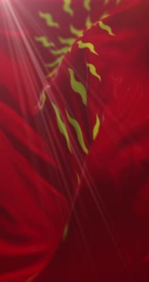 Flagge Oriflamme