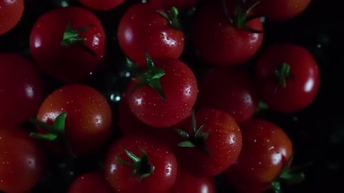 Red Cherry Tomatoes with Water Droplets on Black Surface