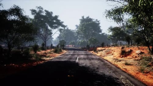 Jungle Road en el parque Baluran en Indonesia