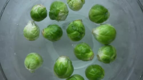 Brussels Sprouts Float in Plate with Water