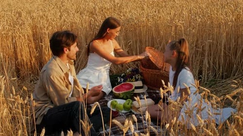 Family Enjoy a Picnic in a Golden Wheat Field During Sunset