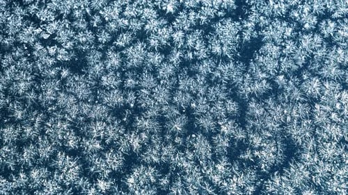 Ice Frost Forming in Cold Winter Time lapse, Freezing Process
