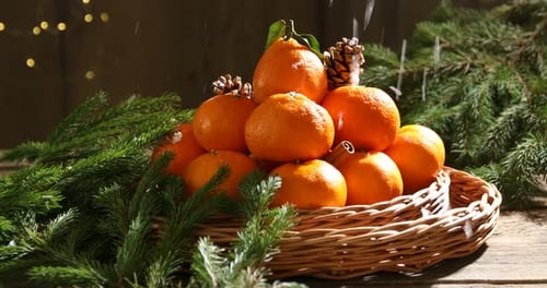 La neige tombe sur les mandarines avec des cônes et des branches de sapin à une table en bois