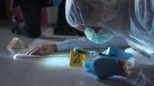 Crime Scene Investigation Examining Evidence