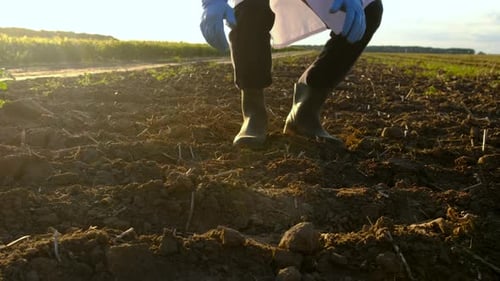 Field Soil Samples for Analysis Selective Focus