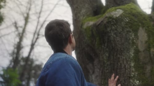 Man looking at tree