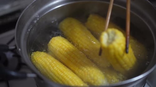 Bright Yellow Corn Boiled in Pot