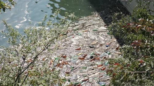 Floating Plastic Bottles and Different Garbage in a Polluted Water