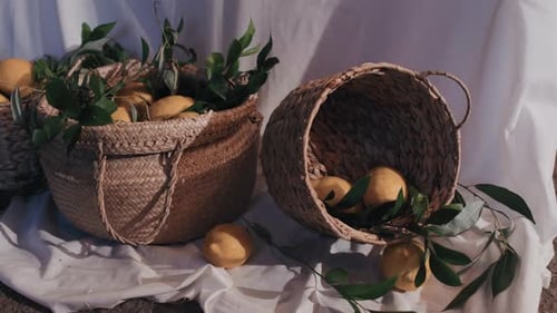 Baskets With Fresh Lemons