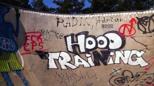 Rampa de skate ao ar livre com artes de grafite. - diminuir o zoom