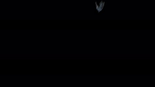 Dark Swarm of Flying Bats for Halloween