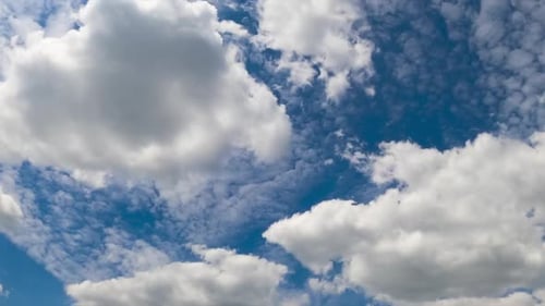 Fluffy white clouds forming in the atmosphere. Light stratus cloudscape at backdrop. Low angle view