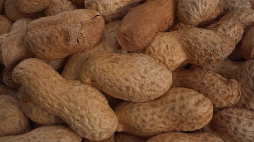 Peanuts in shells moving, food product used in recipes like sauces and oils, known allergen, healthy