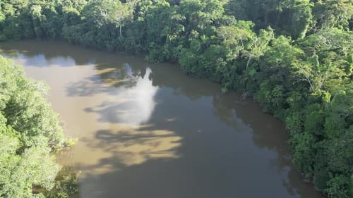 Drohnenaufnahme des Amazonas, der durch dichten, unberührten Dschungel fließt und in weiches Gold getaucht ist