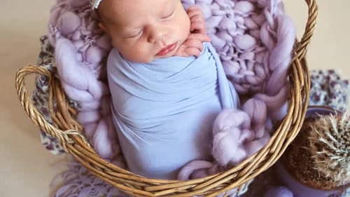 Sleeping Infant Wrapped in Blue in Basket