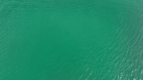 Clear turquoise ocean with gentle, rippling waves.