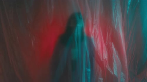 The Woman in the Pink Blazer Behind the Plastic Sheeting