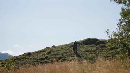 Hiker Walks Uphill on Grassy Slope in Sunlight