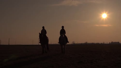 Two Horses Ride Silhouetted Field During Sunset