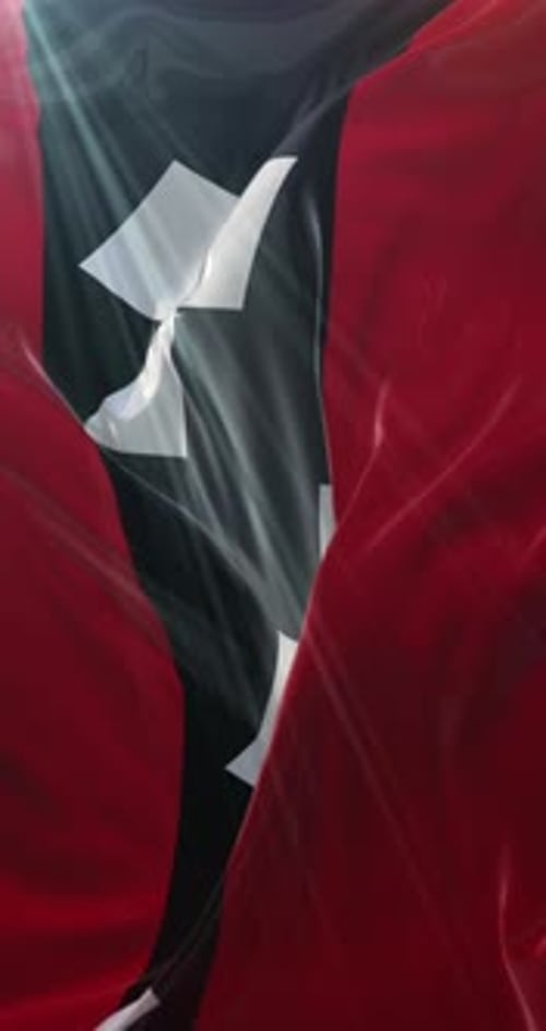 Realistic Fabric Waving Flag with Abstract Geometric Pattern