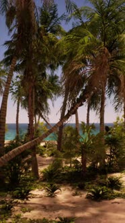 Sandy Beach With Palm Trees and Ocean