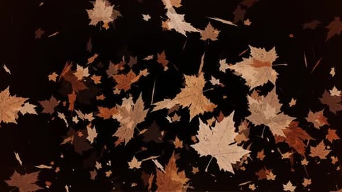 Fondo de lazo de hoja de arce