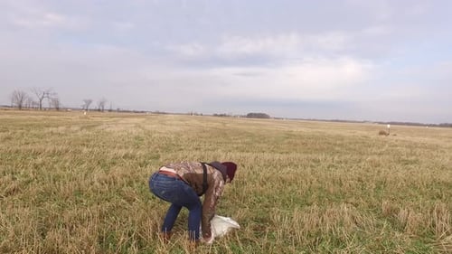 snowy owl lifted by conservationist for release into field 4k