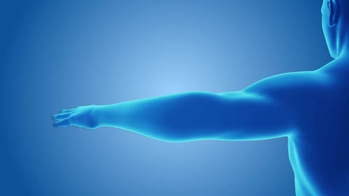 Human Elbow Joint Pain 3D Medical Animation