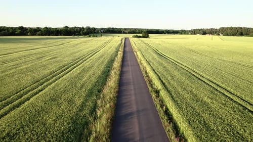 Fly over small road with fields on both sides