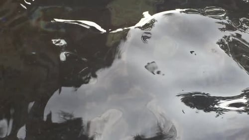 Gros plan d'un bassin de réflexion.
