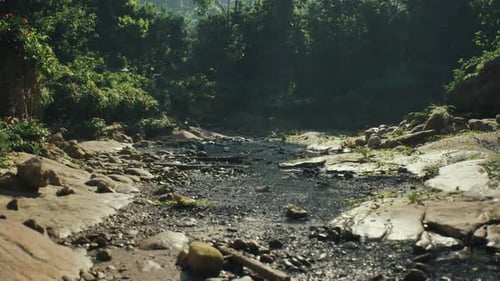 Un lit de rivière tranquille dans le paysage luxuriant du Myanmar à la lumière du petit matin