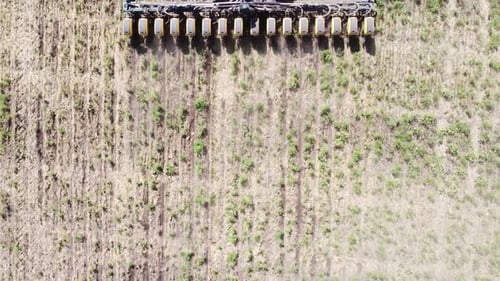 Blue Tractor O.A. Planting Canola On No Till Field