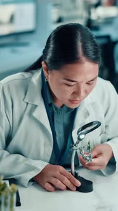 Scientist, woman and plant with magnifying glass in laboratory for botany