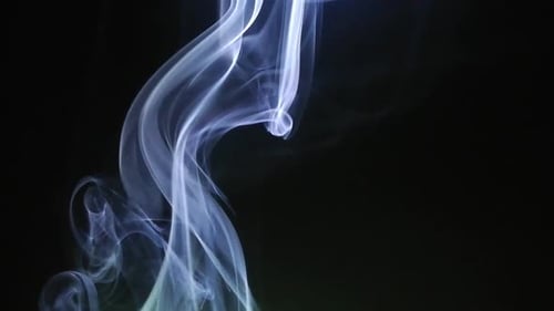 Fumée