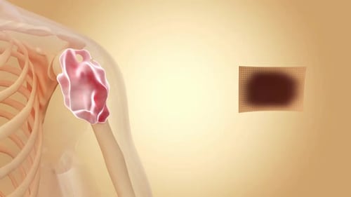 3D Animation of Medical Patch Application on Shoulder Anatomy