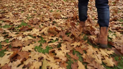 Woman Walking in Autumn Park
